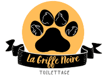 La Griffe noire